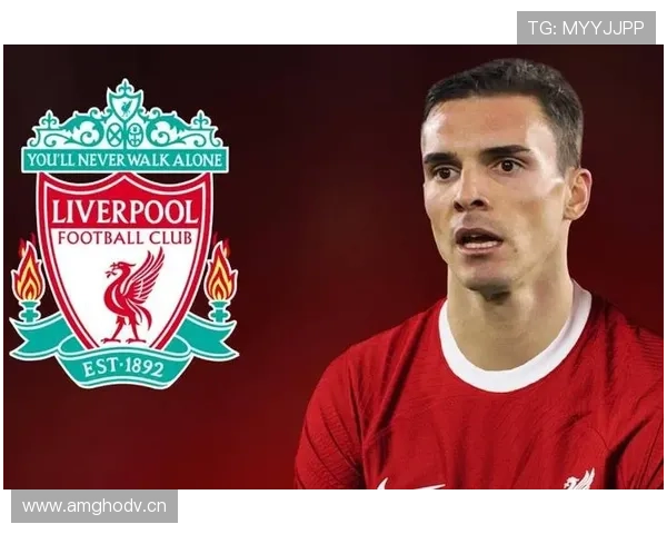 帕利尼亚英超单赛季抢断数领跑解析