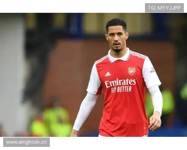 威廉·萨利巴在法国国家队轮换体系中的角色解析